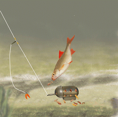 teste..idei..pareri..etc - 111-111.gif